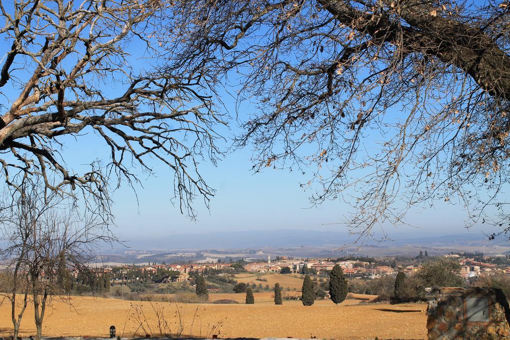 Agriturismo Cantagalli Сан-Куйрико-д'Орча Экстерьер фото