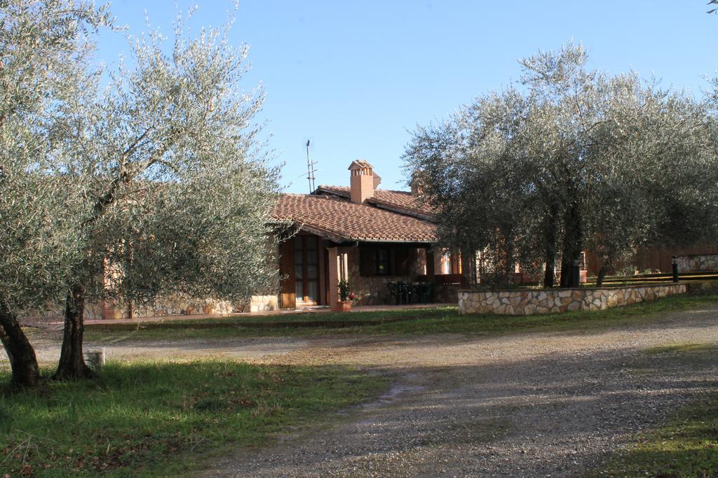 Agriturismo Cantagalli Сан-Куйрико-д'Орча Экстерьер фото