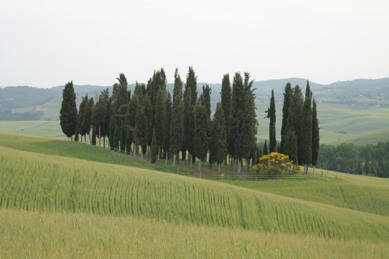 Agriturismo Cantagalli Сан-Куйрико-д'Орча Экстерьер фото