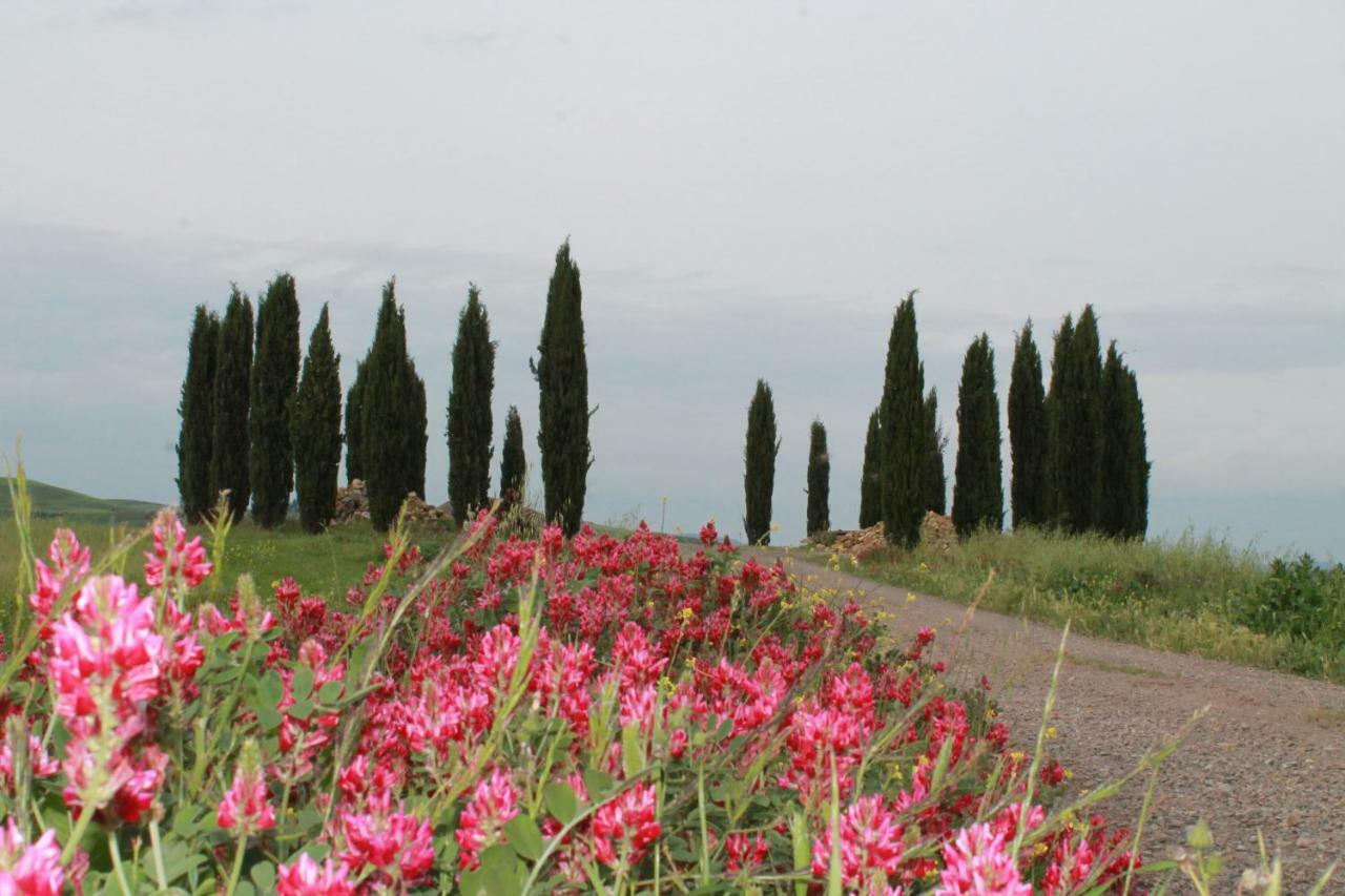 Agriturismo Cantagalli Сан-Куйрико-д'Орча Экстерьер фото