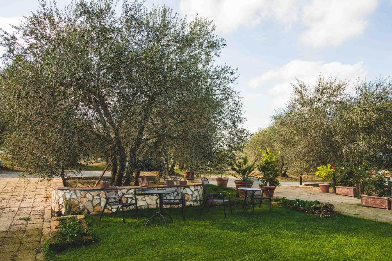 Agriturismo Cantagalli Сан-Куйрико-д'Орча Экстерьер фото